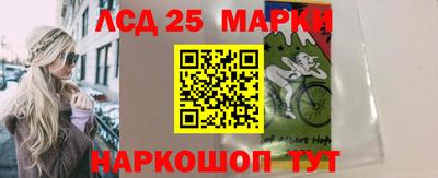гидропоника Новозыбков