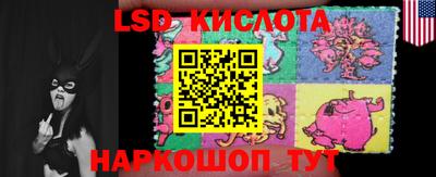гидропоника Новозыбков