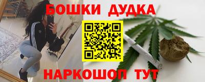 стаф Новодвинск