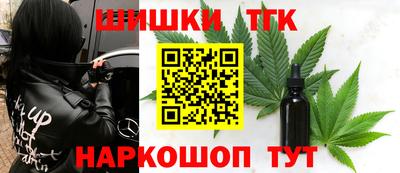 стаф Новодвинск