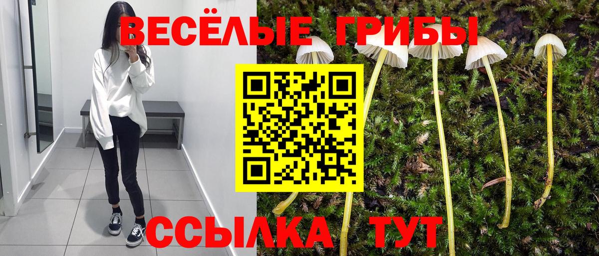 Галлюциногенные грибы Magic Shrooms Сургут