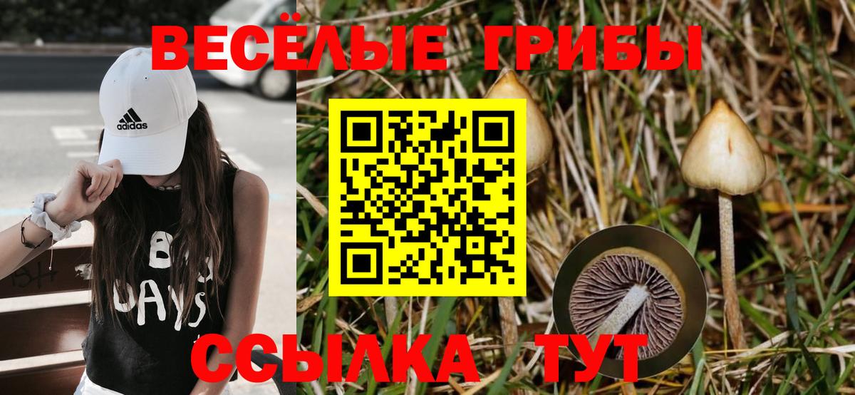 Галлюциногенные грибы Psilocybine cubensis  Вход с VPN  закладки  Сургут 